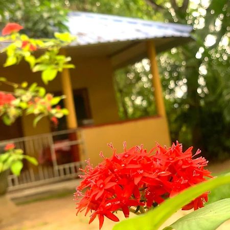 Yapahuwa Relax Stay Dış mekan fotoğraf
